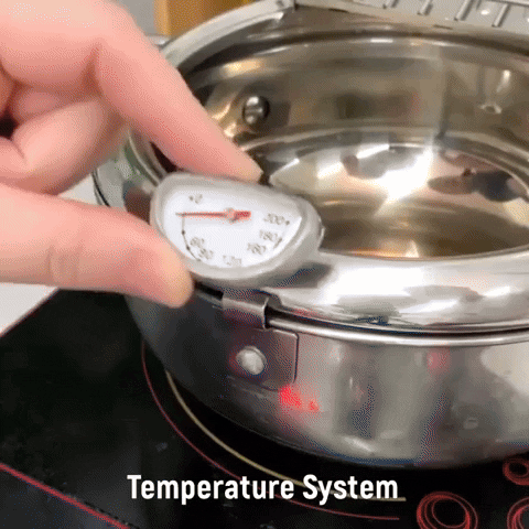 FryMaster™ – Casserole de friture en inox avec panier et thermomètre intégré